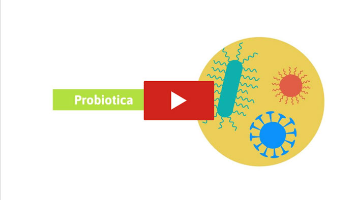 Video IBD en probiotica